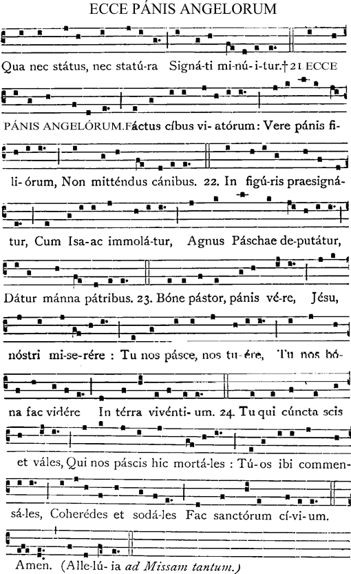 Ecce panis angelorum